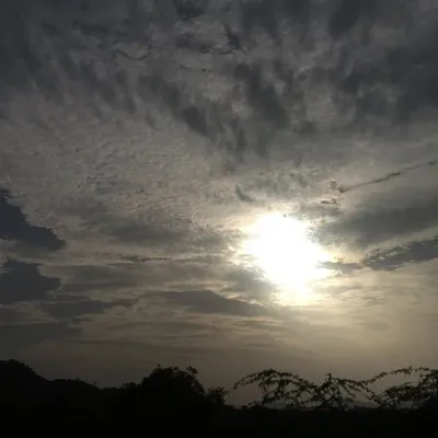 Picturesque Photography profile