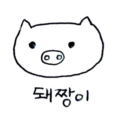 돼짱이 profile