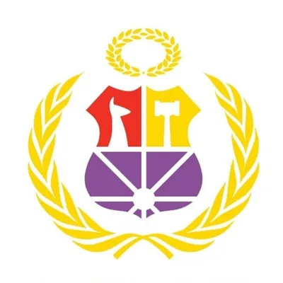 PIMUN 2021 profile