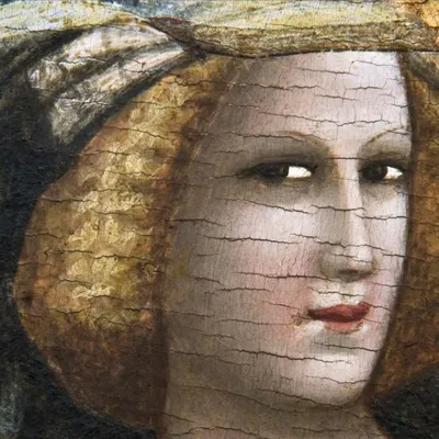 Pinacoteca Nazionale Bologna profile