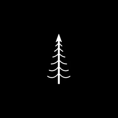 Pine & Lime profile