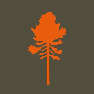Pinewood Outdoor - since 1996 profile