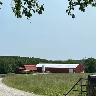 Piney River Brewing Company profile