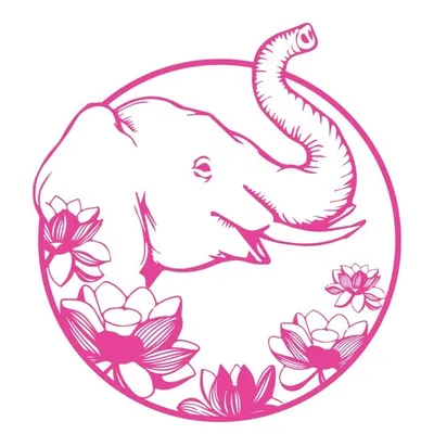 Pink Elephant Event Planners profile
