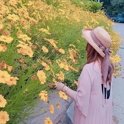 핑크뭉치 profile