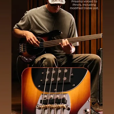 Pino Palladino profile