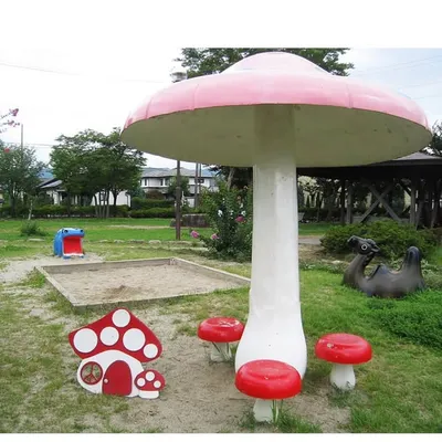pinokoya pinoko profile
