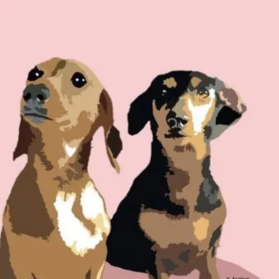 Pippylongsausage profile