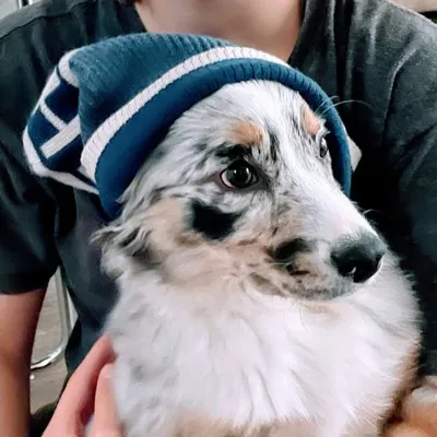 Pip profile