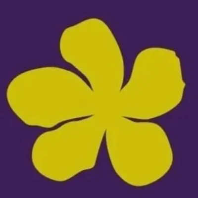 Pirenópolis Online profile
