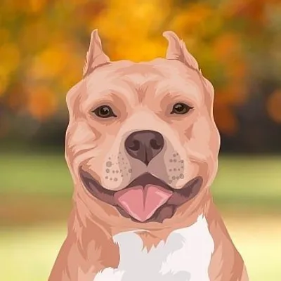 Pitbull Park | Bullies | Bully profile