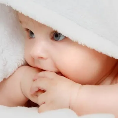 Pitilico Baby profile