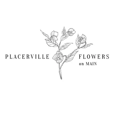 Placerville Flowers On Main profile