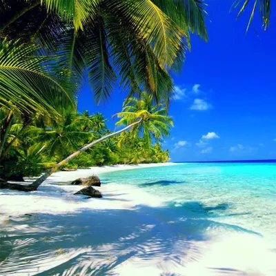 Vacations | Travel | Nature profile