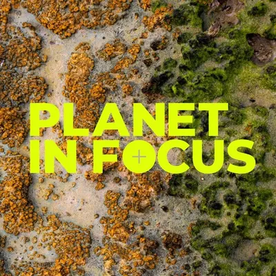 Planet in Focus profile