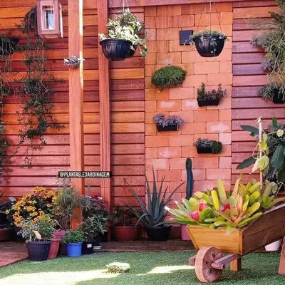 Plantas e Jardinagem ® profile