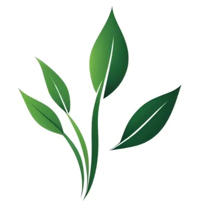 Planteriordesigning profile