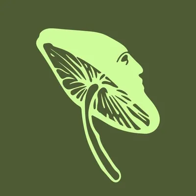 Planthood | plant-based meal kits profile