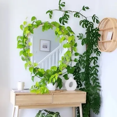 Plant~life~love _1 โ๐ฟโ profile