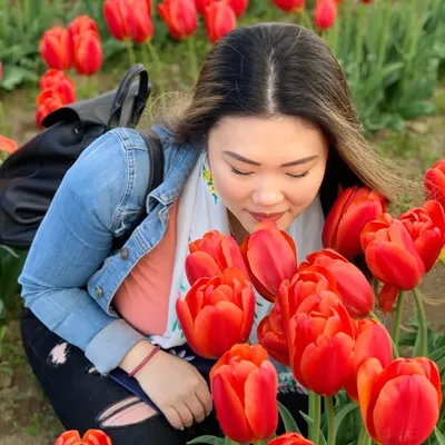 Helen | A Plant A Day profile