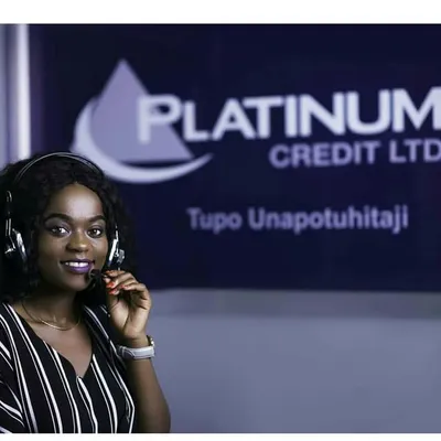 Platinum Credit Ltd - Tanzania profile