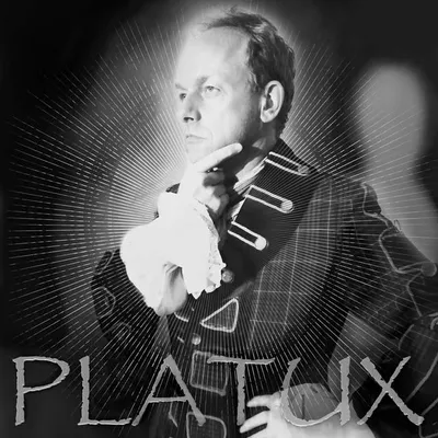 PLATUX Art Cologne Basel Dubai profile