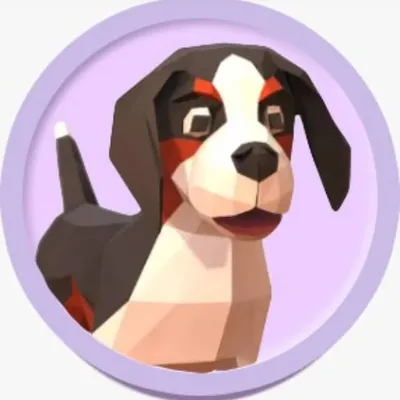 PetDrivr profile