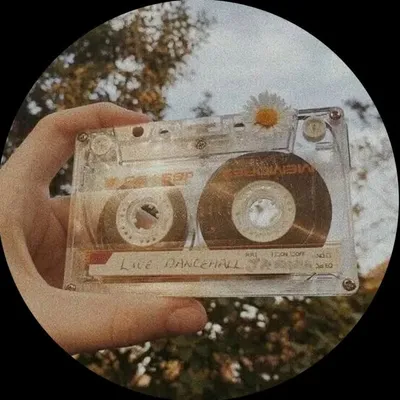 เพลงเพลงนี้_ profile