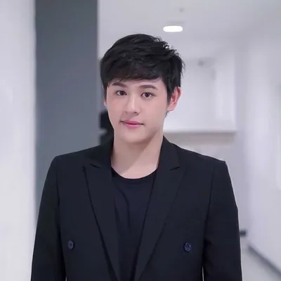 PLUEM profile