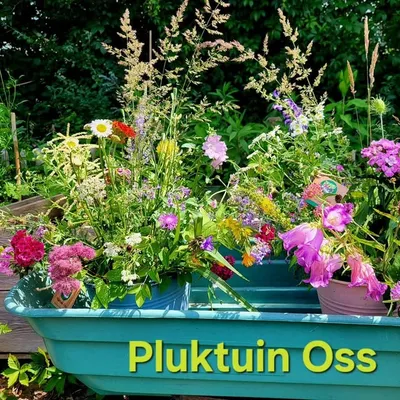 Pluktuin Oss profile