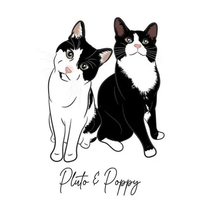 Pluto & Poppy ๐พ profile