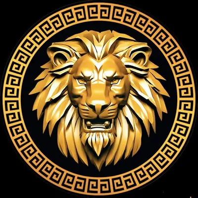 Pakistan Millionaires Club profile