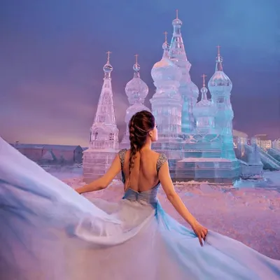 Полина Чех profile