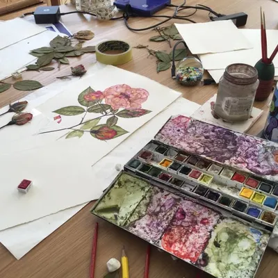 Rachel Pedder-Smith profile