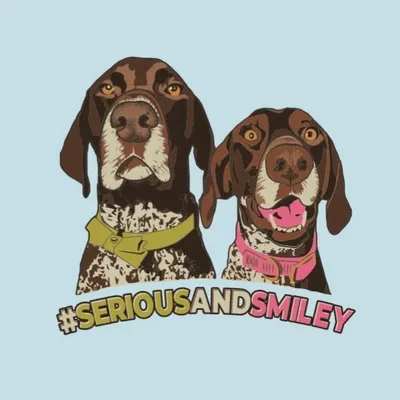 G O R D I E + L Y L L E profile