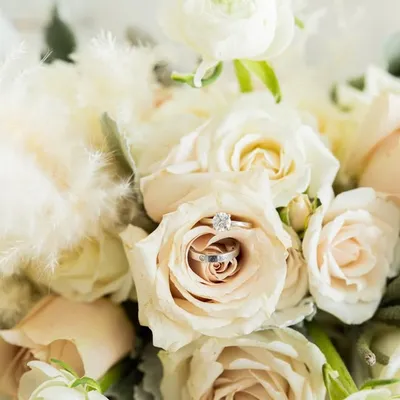 TORONTO WEDDING PHOTOGRAPHY profile