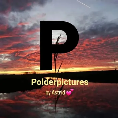 Polderpictures profile