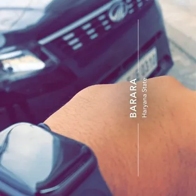 profile