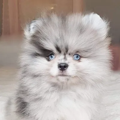 âðððŒâðžâððžâluxury profile