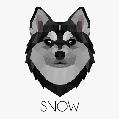 Hello I’m Snow profile