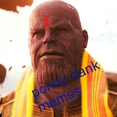 Pondy Dank Memes profile