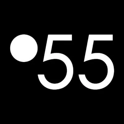 Ponto 55 profile