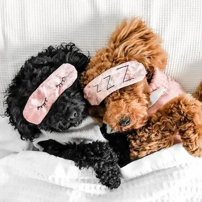 Charlie & Lola ๐ profile