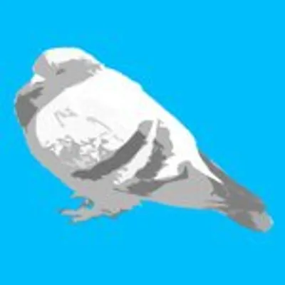 ๐ฆ profile