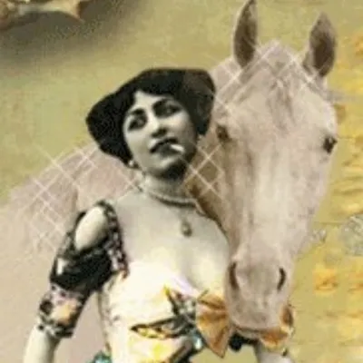 Posh Equestrian profile