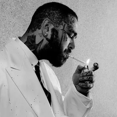 post malone fan acc profile