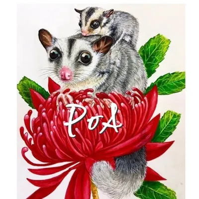 Potpourri Of Artists profile