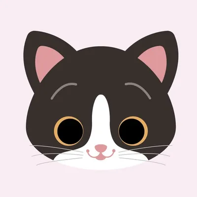 🐰🐱🦊Jolie papeterie et cadeaux illustrés profile