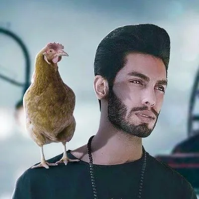 POUYAN NR profile