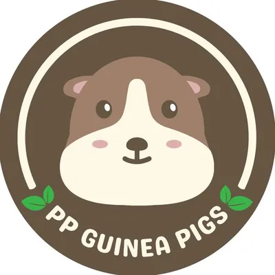 PP GUINEA PIGS ๐น profile